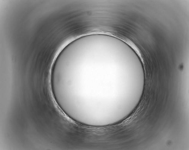 X0000099561096200805160745