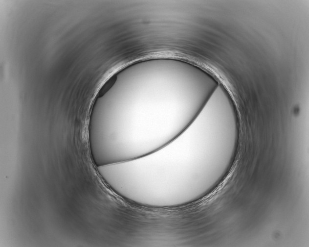 X0000099561097200805160745