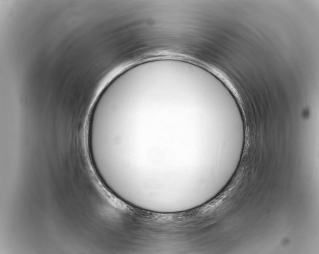 X0000099561098200805160745