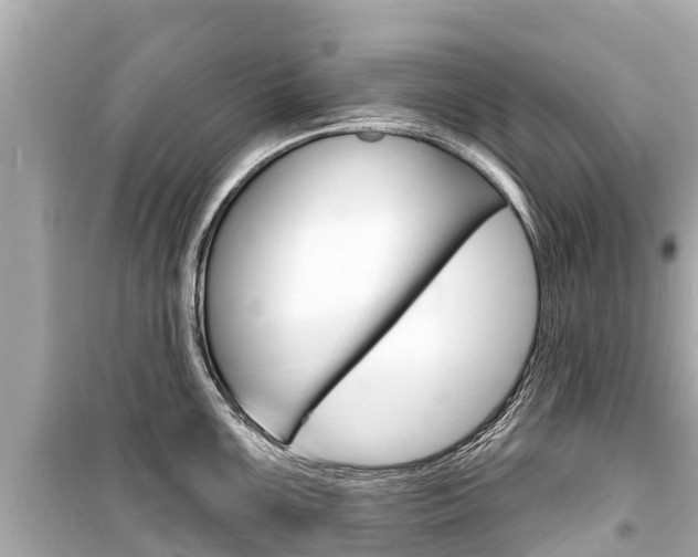 X0000099561099200805160745