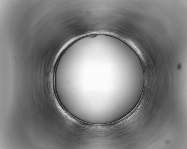 X0000099561100200805160744