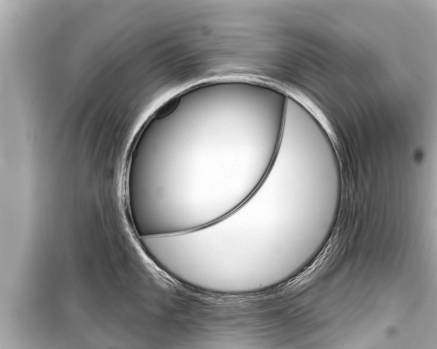 X0000099561101200805160744
