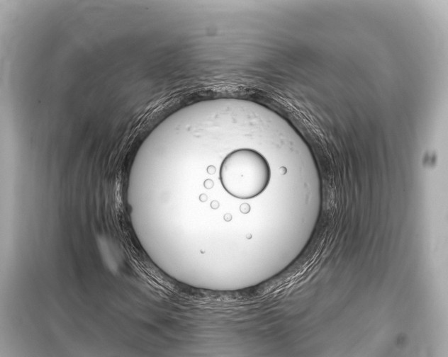 X0000099561106200805160744