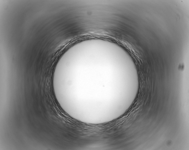 X0000099561110200805160744