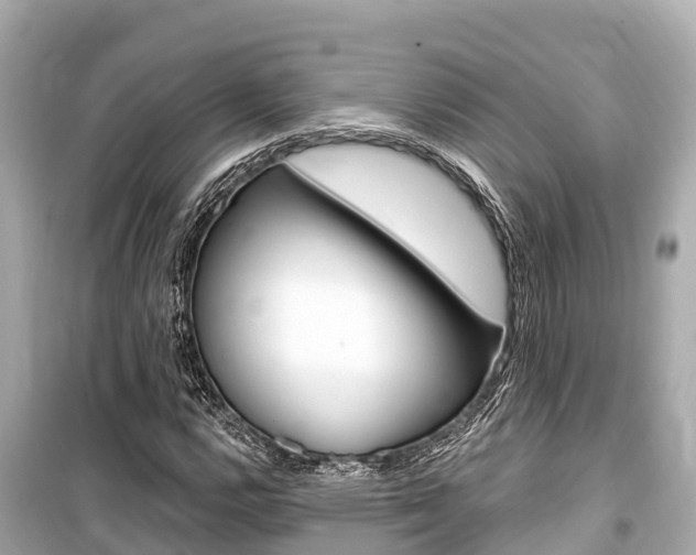 X0000099561112200805160744