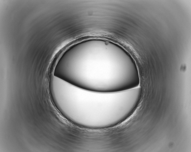 X0000099561114200805160744