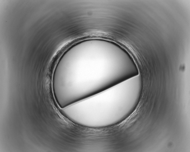 X0000099561115200805160744
