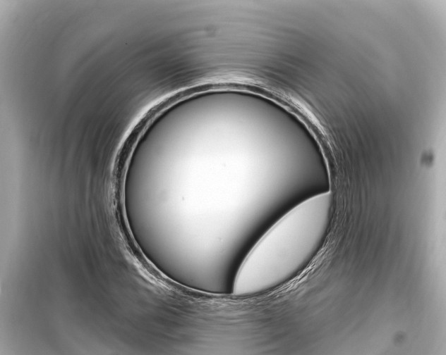 X0000099561116200805160744