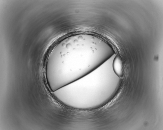 X0000099561117200805160744
