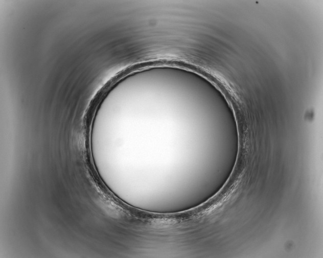 X0000099561118200805160744