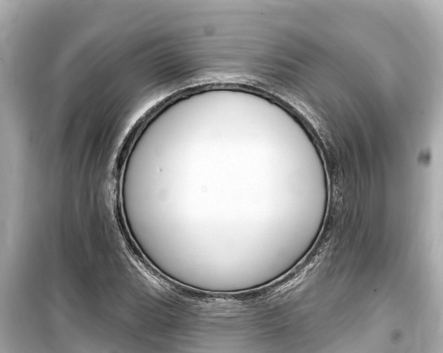 X0000099561119200805160744
