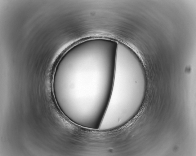 X0000099561120200805160744