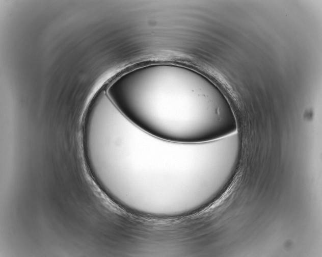 X0000099561122200805160744