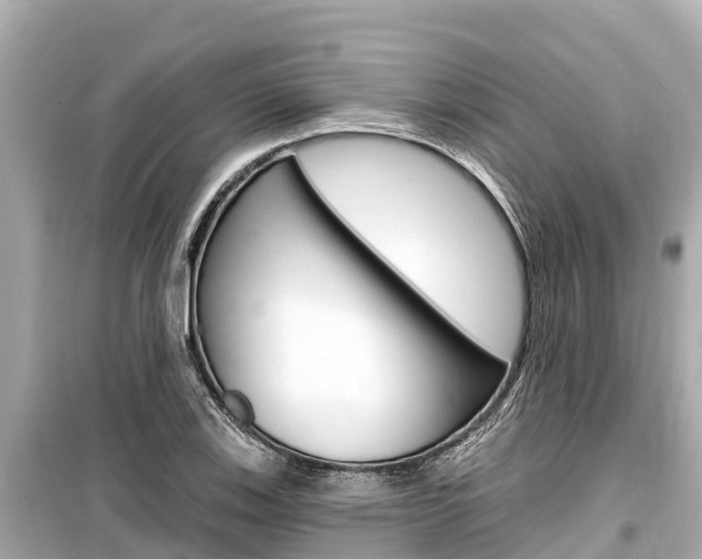 X0000099561123200805160744