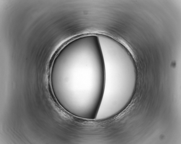 X0000099561124200805160744