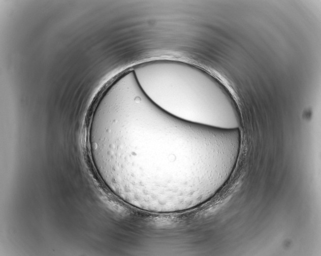 X0000099561125200805160744