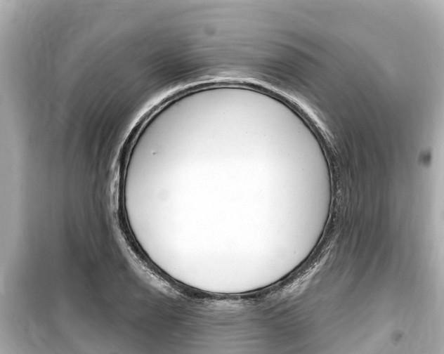 X0000099561126200805160744