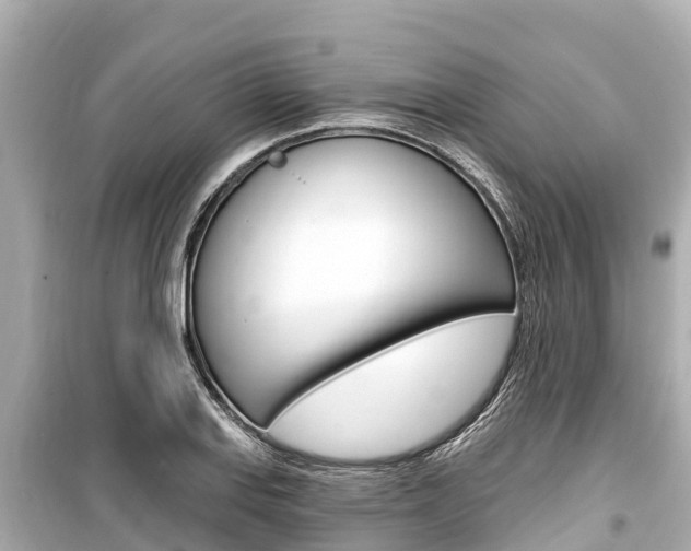 X0000099561127200805160744