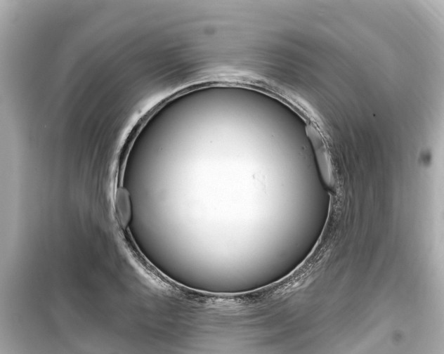 X0000099561128200805160744
