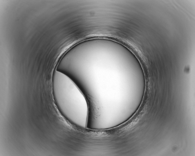 X0000099561129200805160744