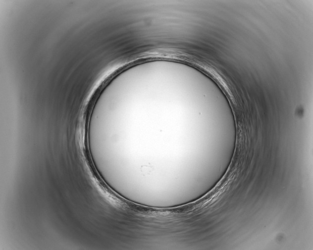 X0000099561131200805160744