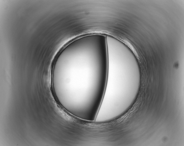 X0000099561132200805160744