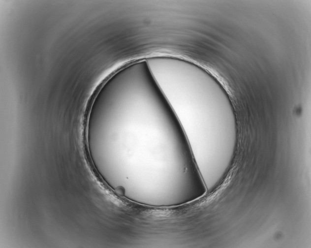 X0000099561134200805160744