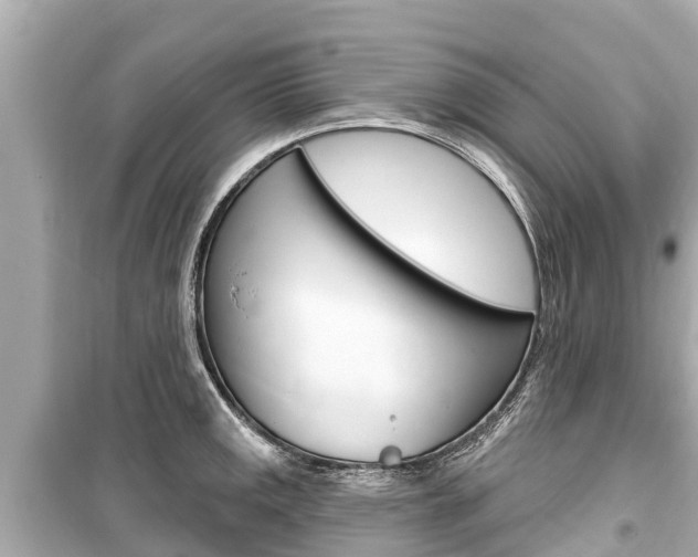 X0000099561141200805160744