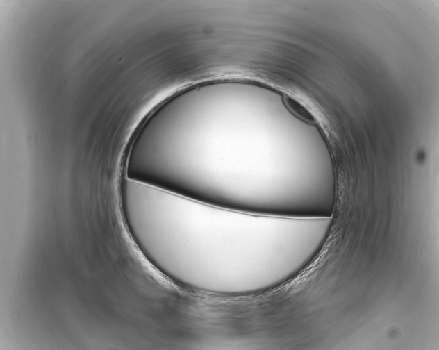 X0000099561142200805160744