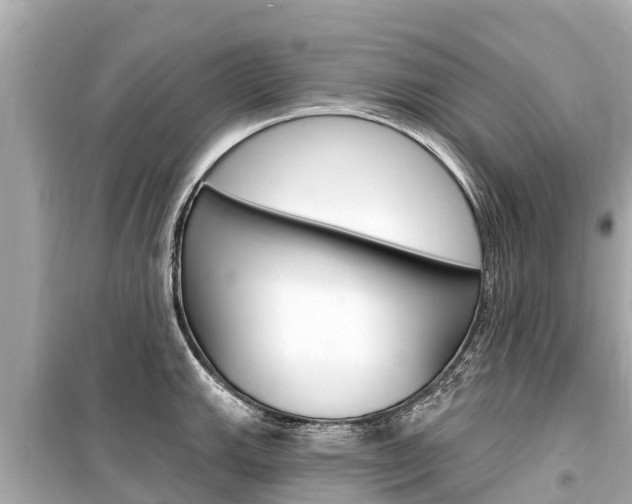 X0000099561143200805160744