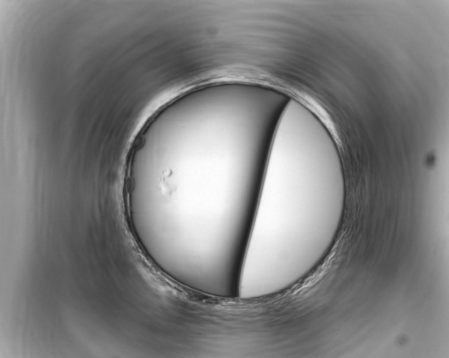 X0000099561146200805160744