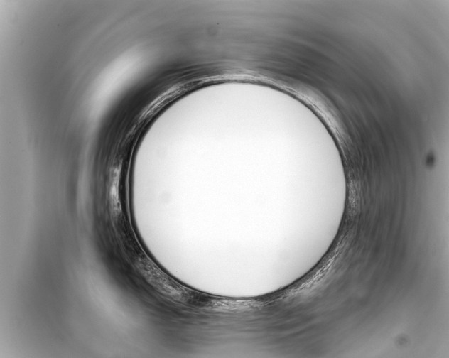 X0000099561150200805160744