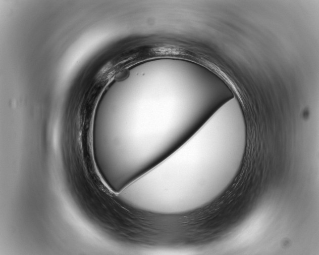 X0000099561151200805160744