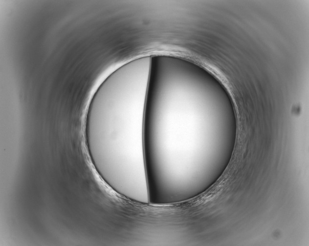 X0000099561152200805160744