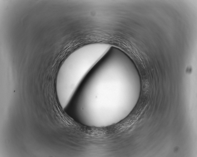 X0000099561153200805160744