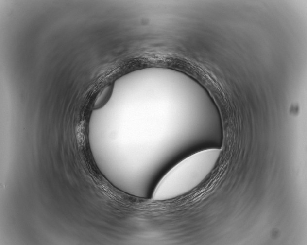 X0000099561156200805160744