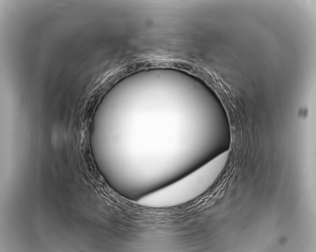 X0000099561157200805160744