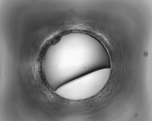 X0000099561159200805160744