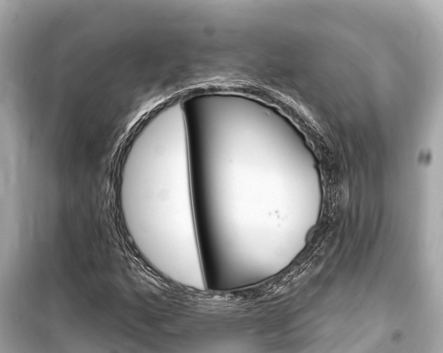 X0000099561160200805160743