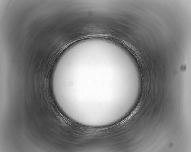 X0000099561161200805160743