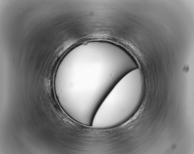 X0000099561162200805160743
