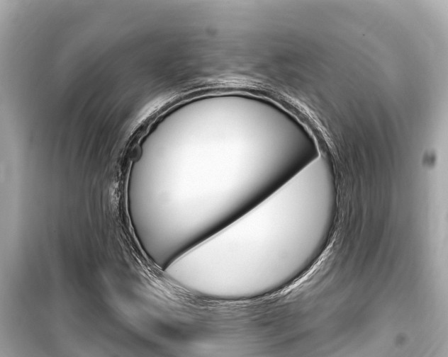 X0000099561163200805160743