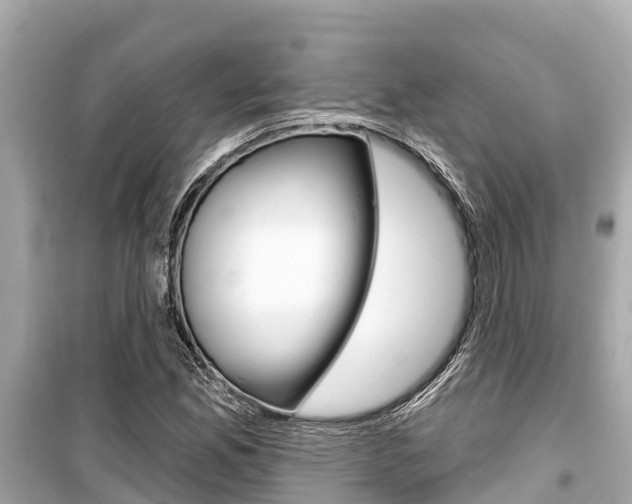 X0000099561165200805160743