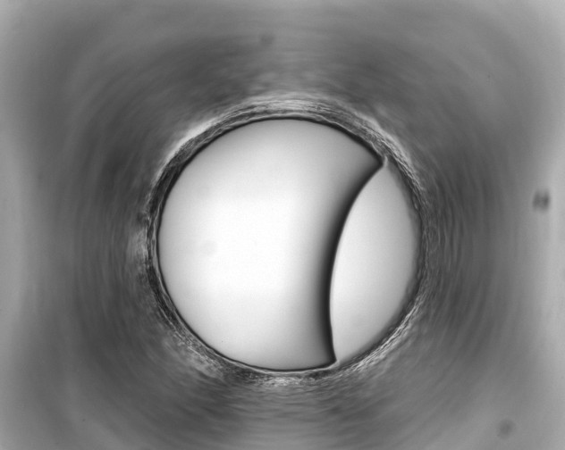 X0000099561166200805160743