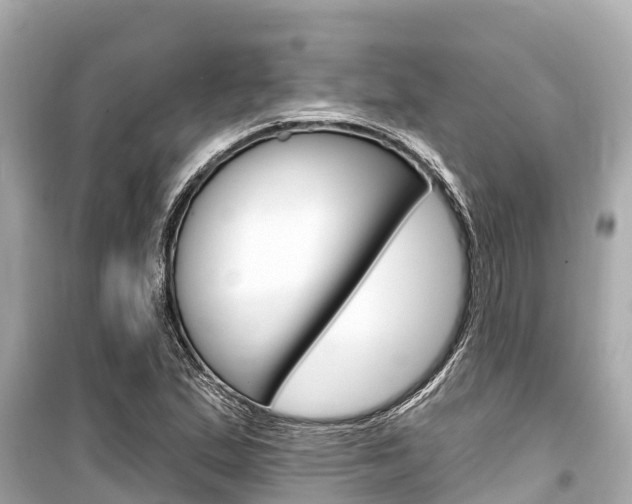 X0000099561167200805160743