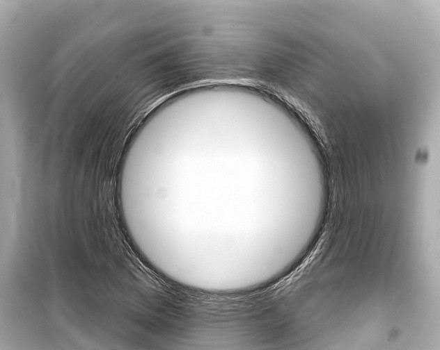 X0000099561169200805160743