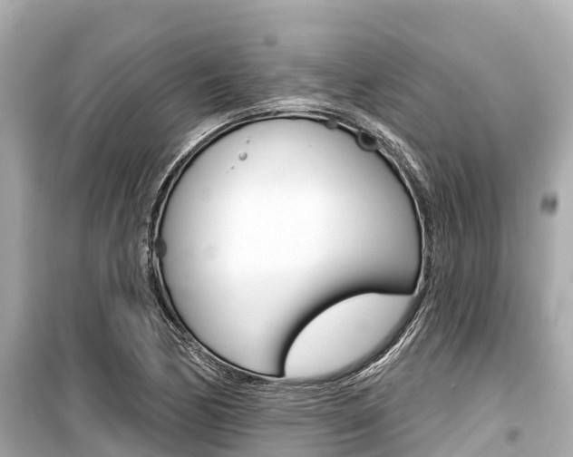 X0000099561170200805160743