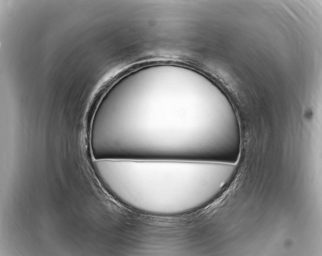 X0000099561172200805160743