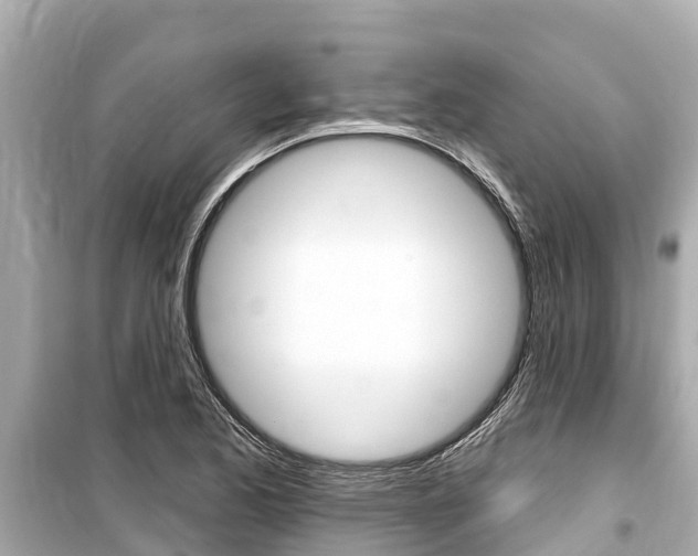 X0000099561173200805160743