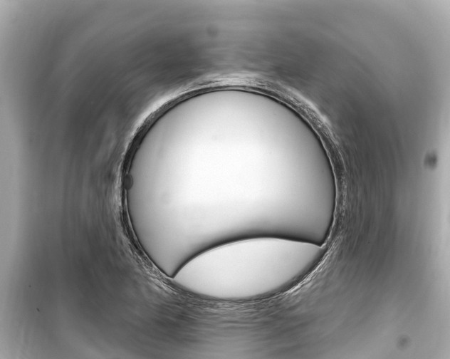 X0000099561174200805160743